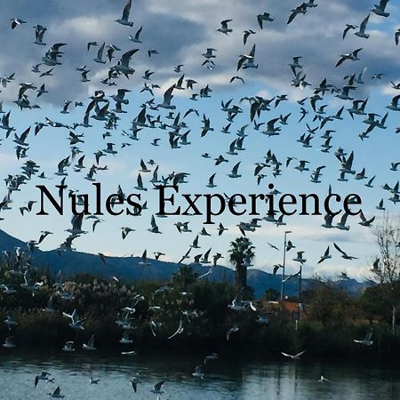 Apartamento Nules Experience Mascarell Zewnętrze zdjęcie