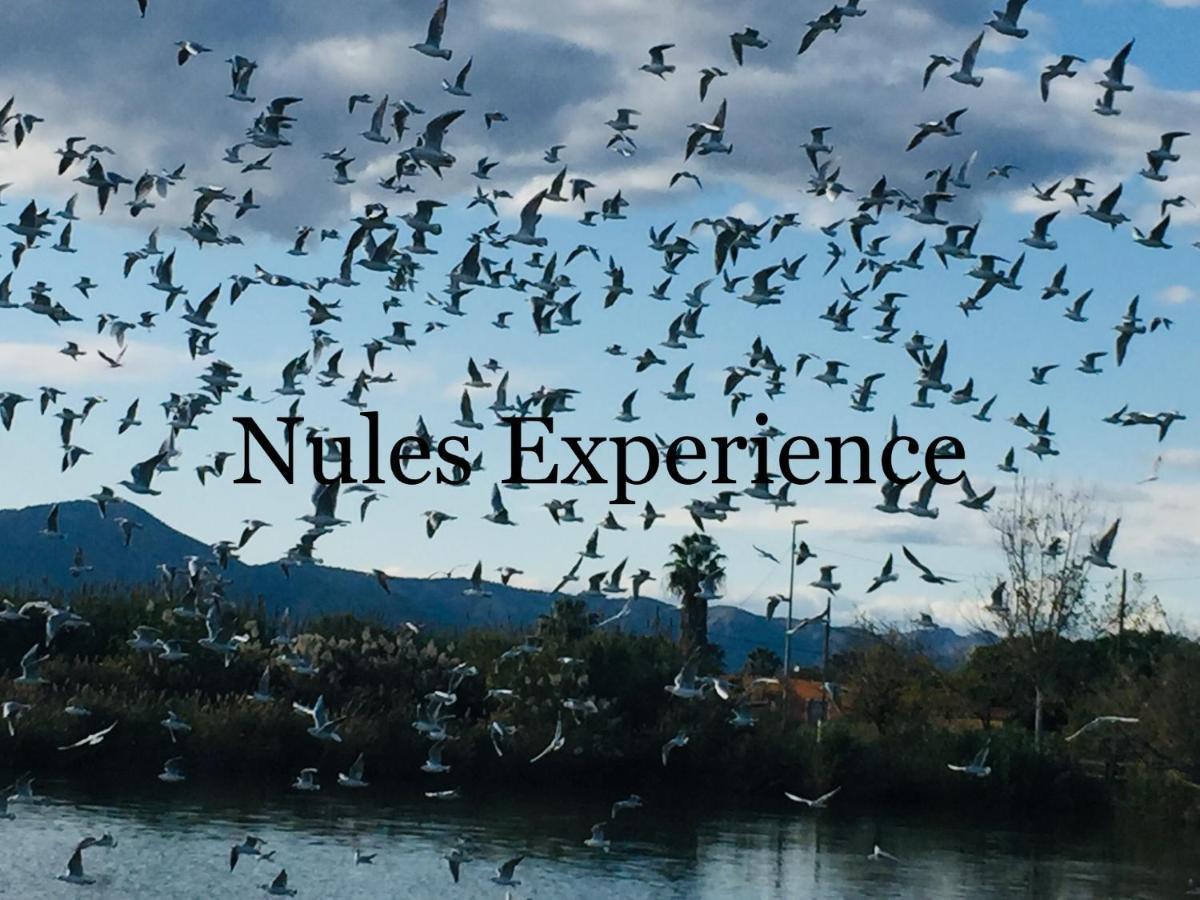Apartamento Nules Experience Mascarell Zewnętrze zdjęcie