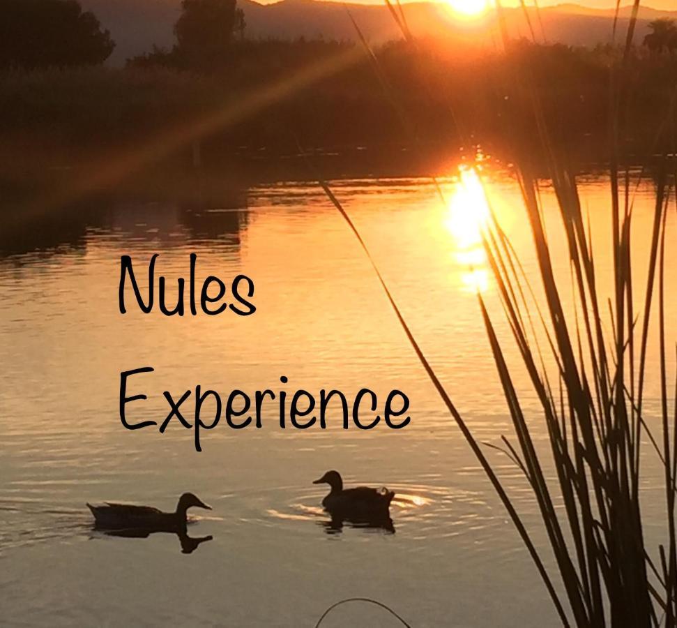 Apartamento Nules Experience Mascarell Zewnętrze zdjęcie